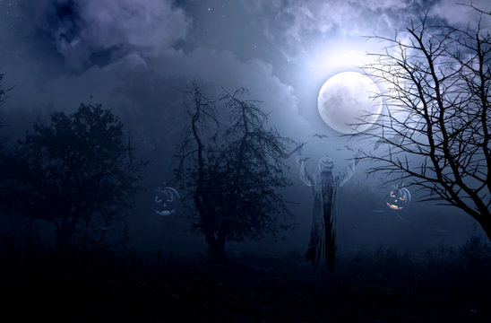 Night foggy mystical garden and a scarecrow against the backdrop of the full moon © alg2209