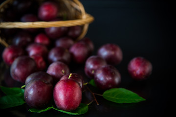 organic red ripe cherry plum isolated on black