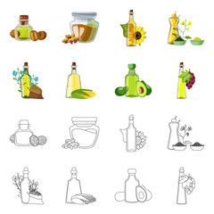 Isolated object of healthy and vegetable icon. Set of healthy and agriculture stock symbol for web.