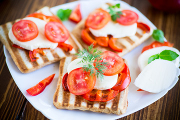 Closeup of a fresh sandwich with mozzarella, tomatoes