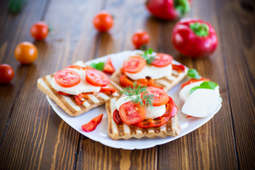 Closeup of a fresh sandwich with mozzarella, tomatoes