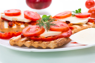 Closeup of a fresh sandwich with mozzarella, tomatoes