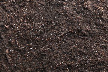 Texture of soil as background
