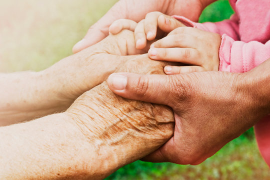 Hands of an old grandmother, a young girl and a small child close-up. Hands of a family on a background of nature.