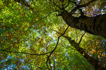 Fototapeta premium Natural landscape with blue sky in Spain