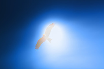 Figure bird of prey on the background of the solar disk