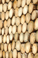 통나무가 만든 패턴