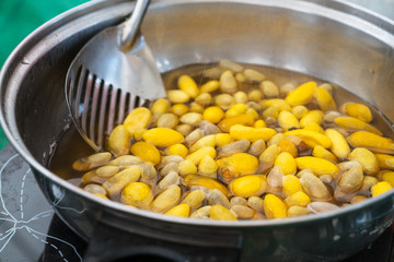 create a thread for weaving,boiling cocoon silkworm in a pot