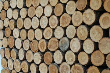 통나무가 만든 패턴