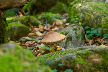Natural landscape with blue sky in Spain