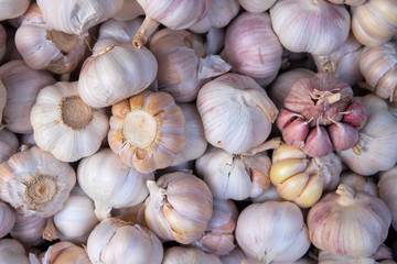 White garlic texture, spice or vegetable closeup photo. Healthy food package. Garlic bulb pile top view.