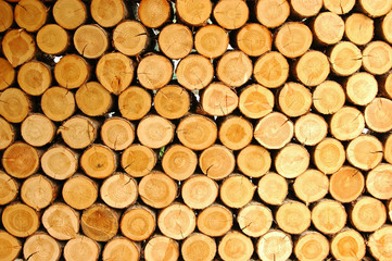 규칙성을 보여주는 장작더미