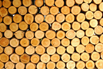 규칙성을 보여주는 장작더미