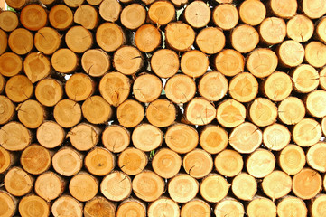 규칙성을 보여주는 장작더미