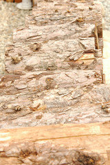 A light brown, woody object