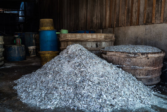 Traditional fermented fish "Prahok", Cambodia 