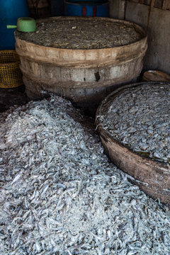 Traditional fermented fish "Prahok", Cambodia 