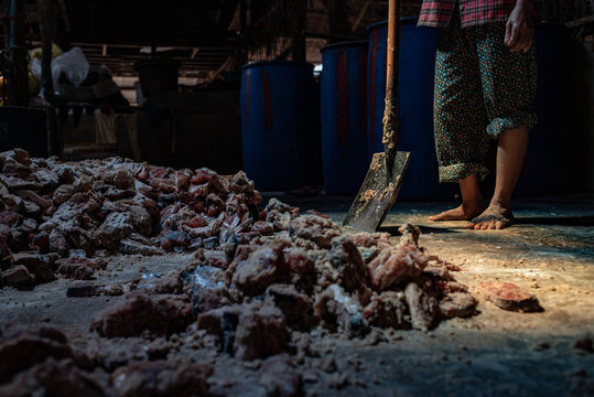 Traditional fermented fish "Prahok", Cambodia 