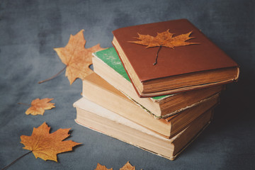 books, notebook, pencils for drawing with autumn leaves