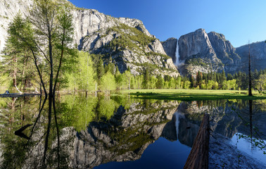 Naklejka na ściany i meble Yosemite Falls and valley reflecting in merced river (Yosemite National Park, California, USA)