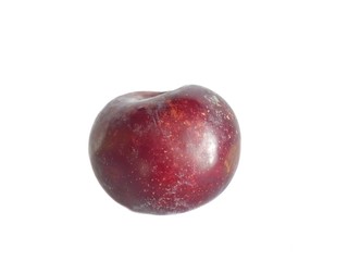 Plum fruit isolated on white background, ready to eat or making drinks and salads (Prunus domestica L.,Rosaceae)