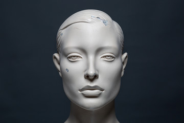 Sch&ouml;nheit in Vollendung