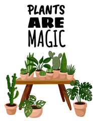 Plants are magic postcard. Potted succulent plants on in hygge interior flyer. Cozy lagom scandinavian style poster