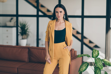 Portrait of her she nice-looking attractive glamorous lovely content lady model new owner project...