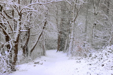 Winterlandschaft (04)