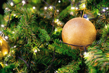 Closeup christmas tree and gold ball hanging