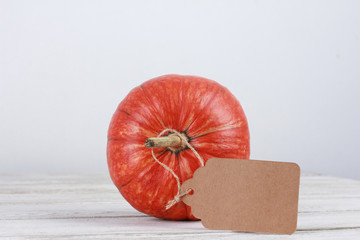 Single orange pumpkin with tag on stalk on white wooden table isolated over white background. Autumn harvest, Halloween, Thanksgiving concept. Fall, holiday, side view, closeup, copy space