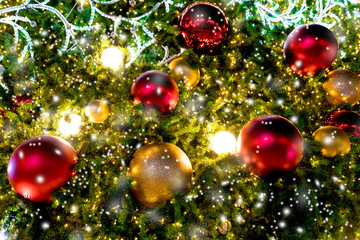 Fototapeta na wymiar Closeup christmas tree and red ball hanging with snow