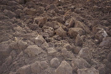 excavated land closeup, fresh soil for background.