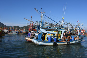 fishing boats in harbor