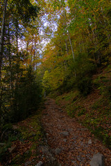 Natural landscape with blue sky in Spain