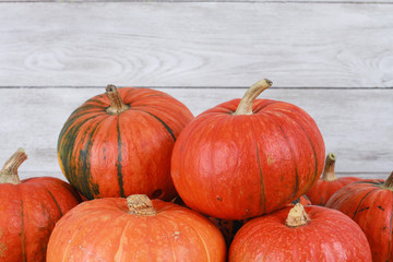 Pumpkins on white wooden background. Autumn harvest, Halloween, Thanksgiving concept. Fall, holiday, festival, market