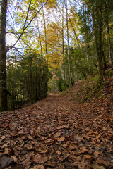 Natural landscape with blue sky in Spain