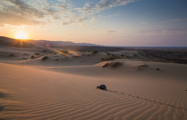 The Turtle and Sunset