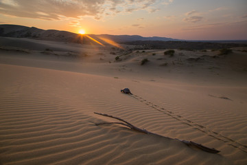Sunset on the Desert