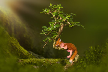 Baby in fox outfit in Bonsai tree