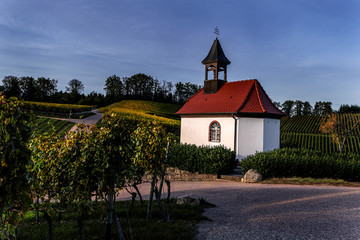 Old chapel/church in the center of a vineyard at blue hour during sunset
