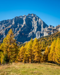 Switzerland, fall colors