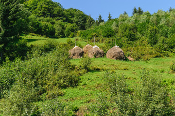 traditional haystacks, green hills and green forest