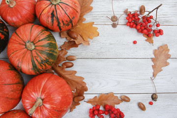 Orange pumpkins, yellow oak leaves, acorns, red berries on white wooden table. Welcome Autumn, harvest festival, Halloween, Thanksgiving concept. Top view, copy space, border