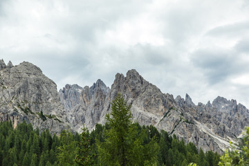 Obraz premium Dolomites, Italy - July, 2019: Drei Zinnen or Tre Cime di Lavaredo with beautiful flowering meadow, Sextener Dolomiten or Dolomiti di Sesto, South Tirol, Dolomiten mountains view, Italian Alps