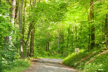 Rural road in the country. 