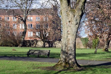 Empty Bench in Sunny Park 2075-040