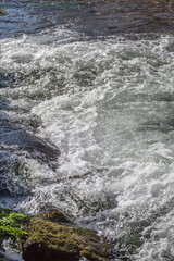 View of small waterfall on river with detail of water foam, rocks and river vegetation