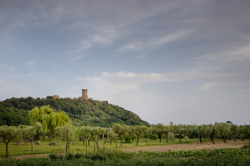 Fototapeta na wymiar Landscape with panoramic view of the tower of Velia