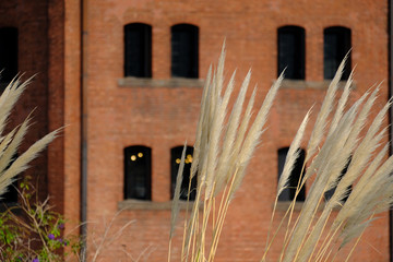 silver grass and red brick warehouse